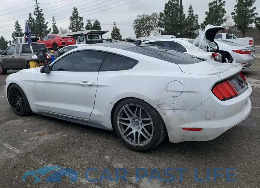 1FA6P8TH5M5128951# 2