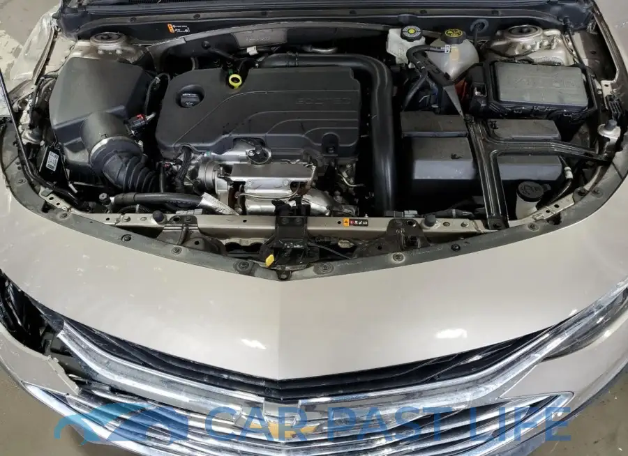 1G1ZD5ST8PF247623# 11