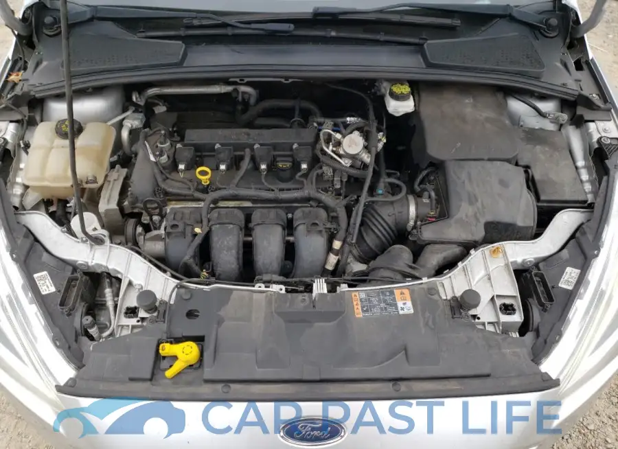 1FADP3J2XJL314999# 11