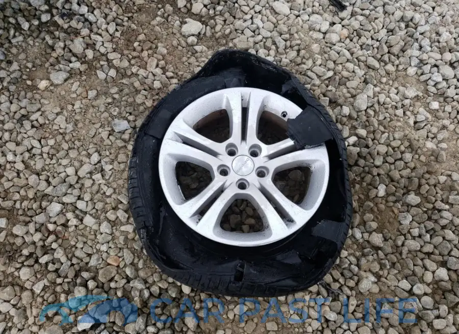 2C3CDXBG6KH509887# 12