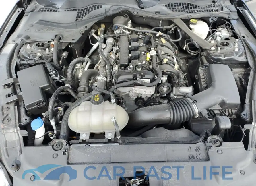 1FATP8UH4N5105034# 11