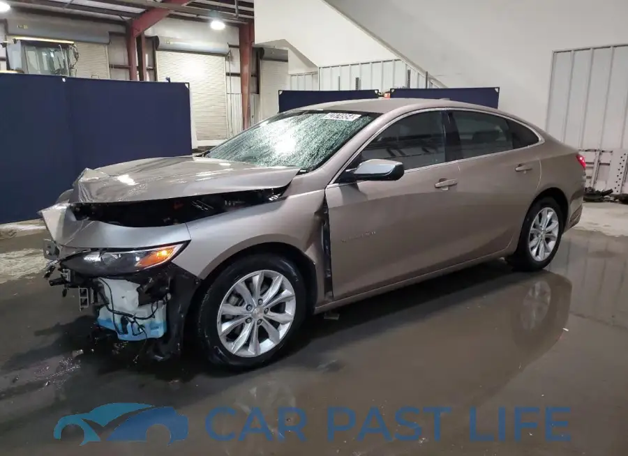 1G1ZD5ST4PF177781# 1
