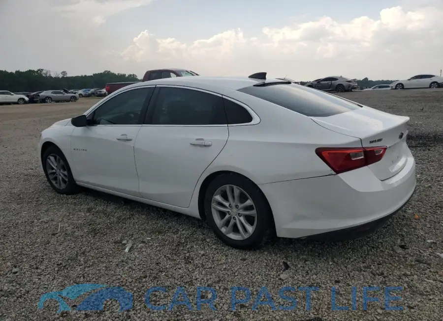 1G1ZB5ST6HF160097# 2