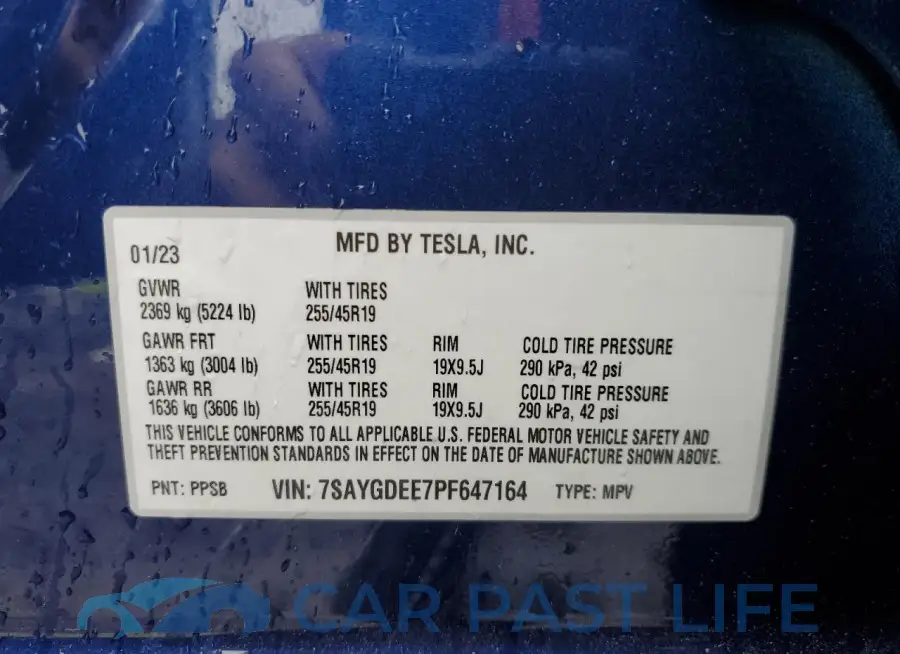 7SAYGDEE7PF647164# 13