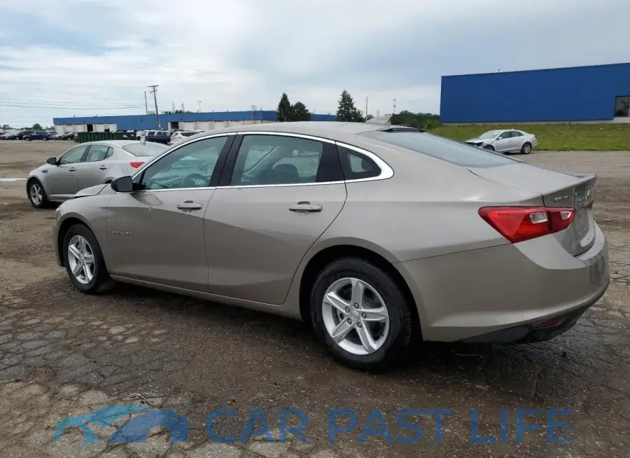 1G1ZD5ST6PF244607# 2