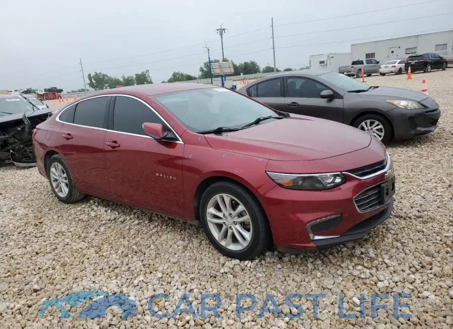 1G1ZD5ST5JF260353# 4