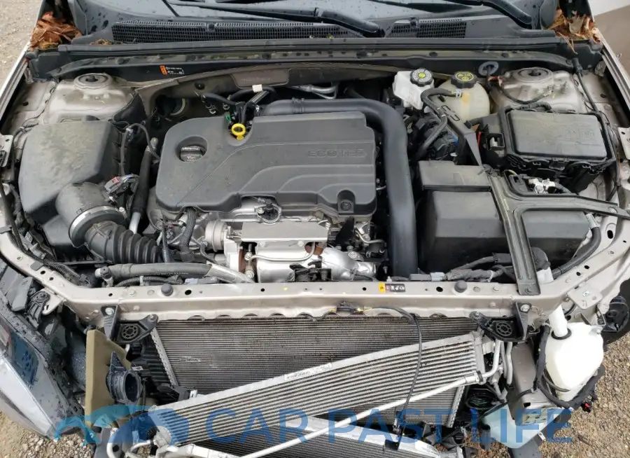 1G1ZD5ST1PF181819# 11