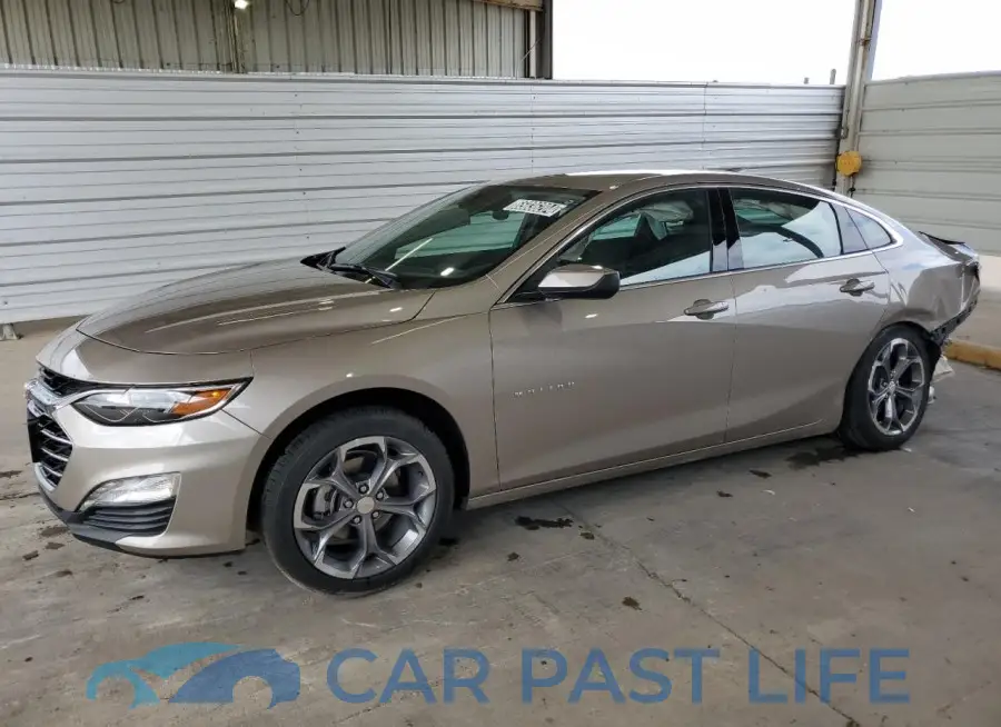 1G1ZD5ST5RF216171# 1