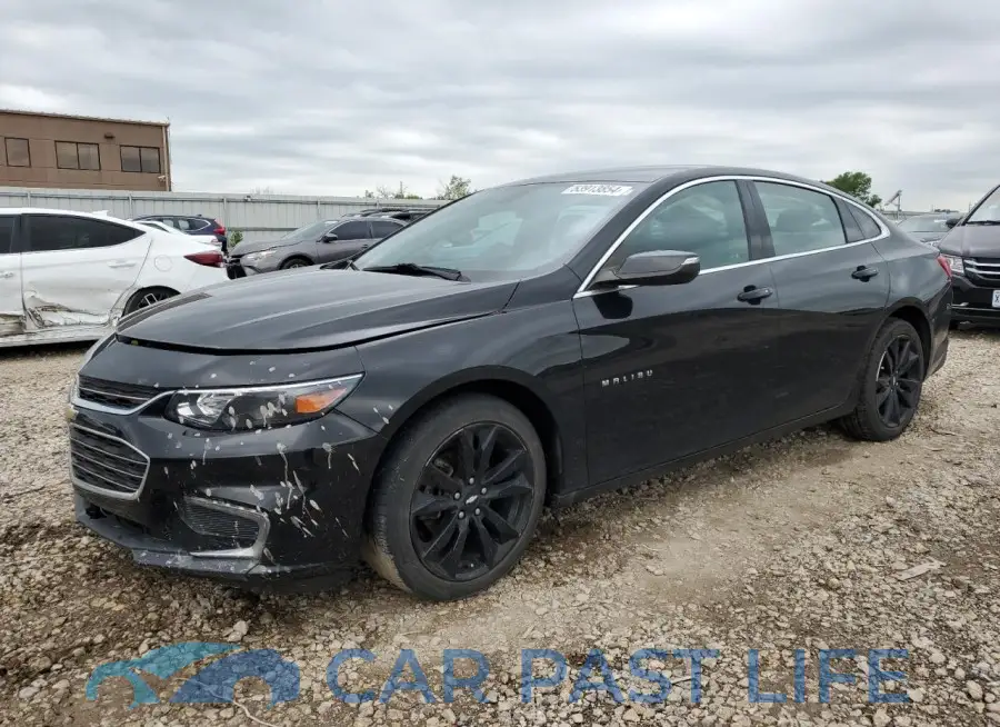 1G1ZD5ST9JF216694# 1