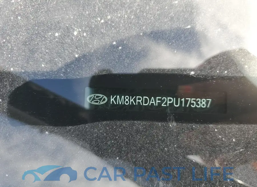 KM8KRDAF2PU175387# 13