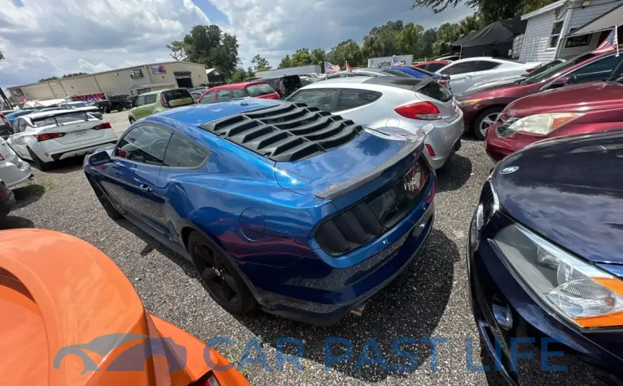 1FA6P8TH5H5347236# 3