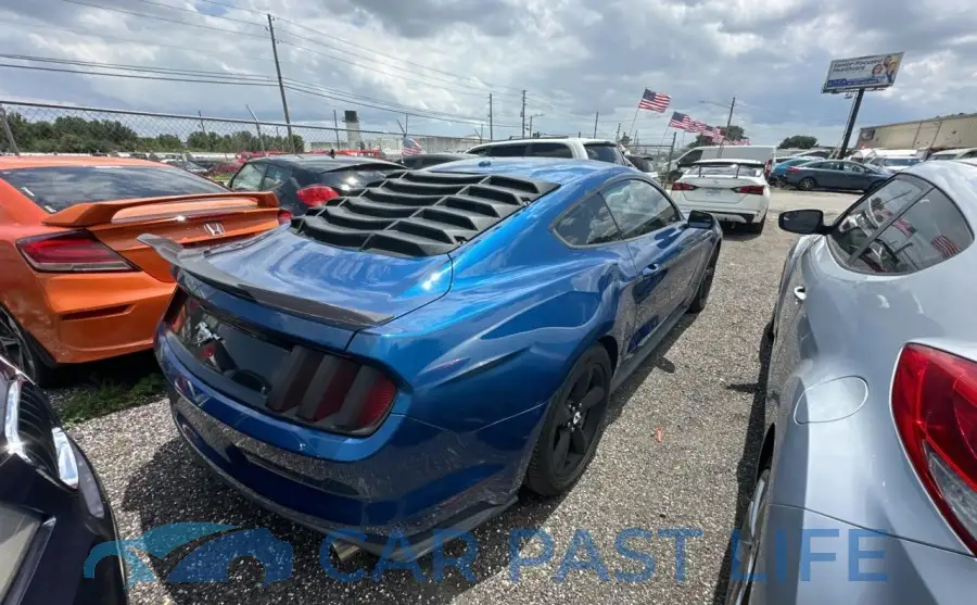 1FA6P8TH5H5347236# 4