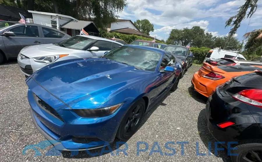 1FA6P8TH5H5347236# 2