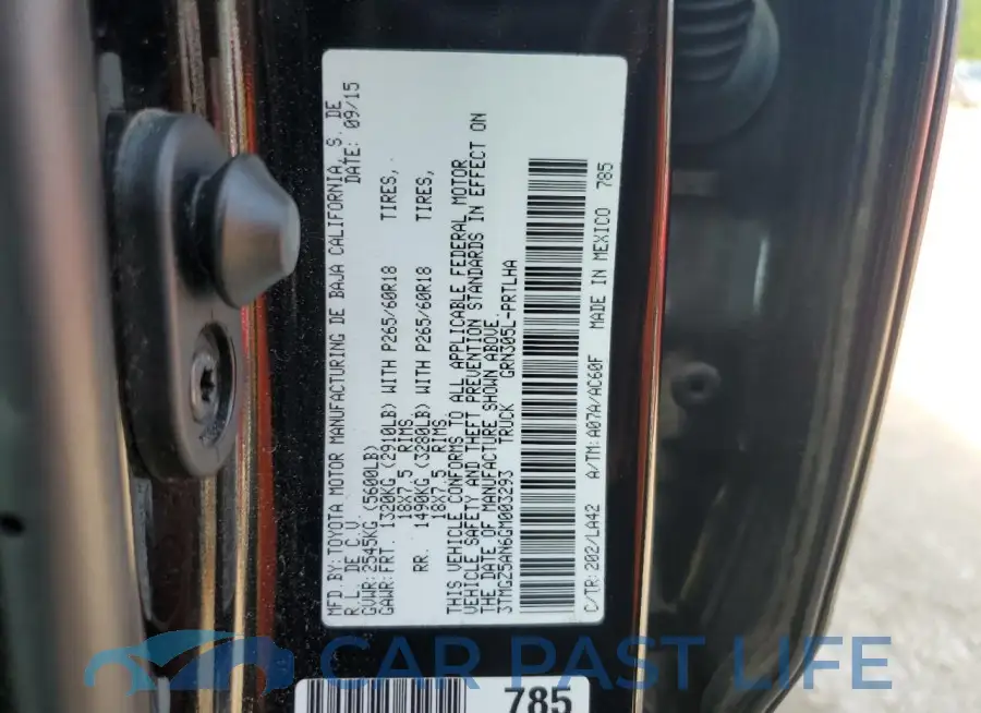 3TMGZ5AN6GM003293# 12