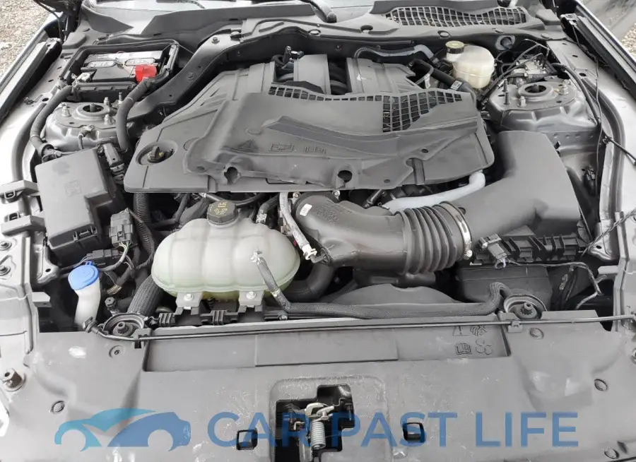 1FA6P8CFXP5304718# 11