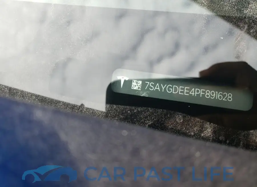 7SAYGDEE4PF891628# 12