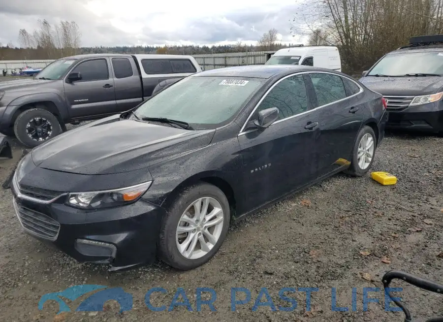 1G1ZD5ST7JF206181# 1