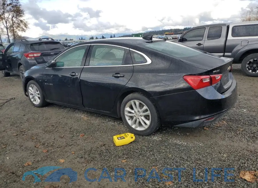 1G1ZD5ST7JF206181# 2