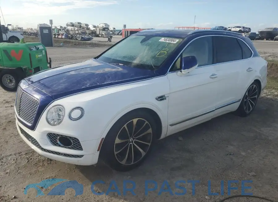 SJAAM2ZV6KC026009# 1