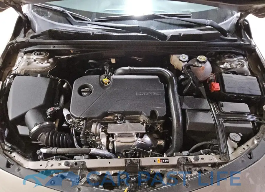 1G1ZD5ST9RF168156# 11