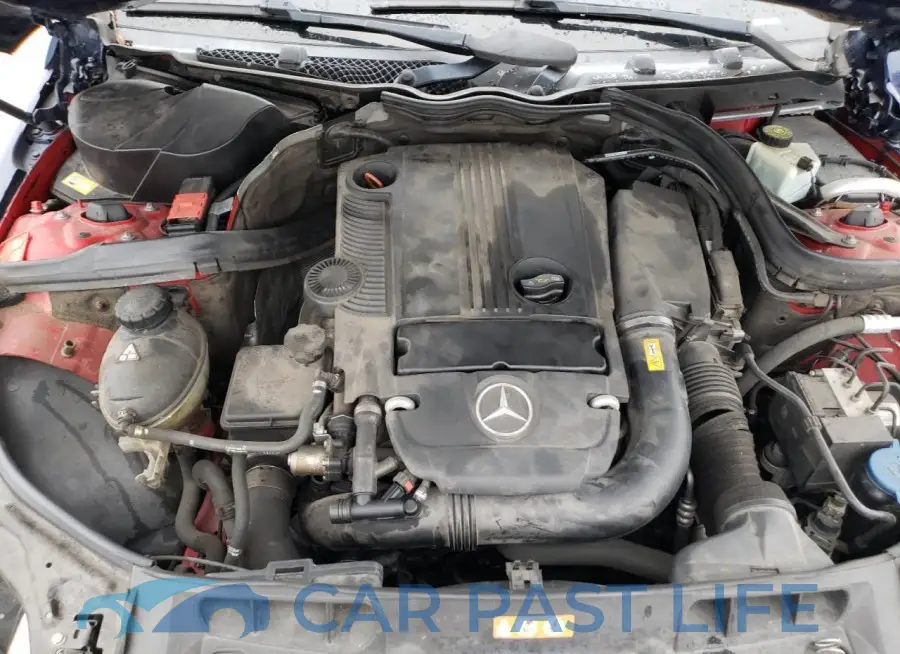 WDDGJ4HB1FG412071# 11