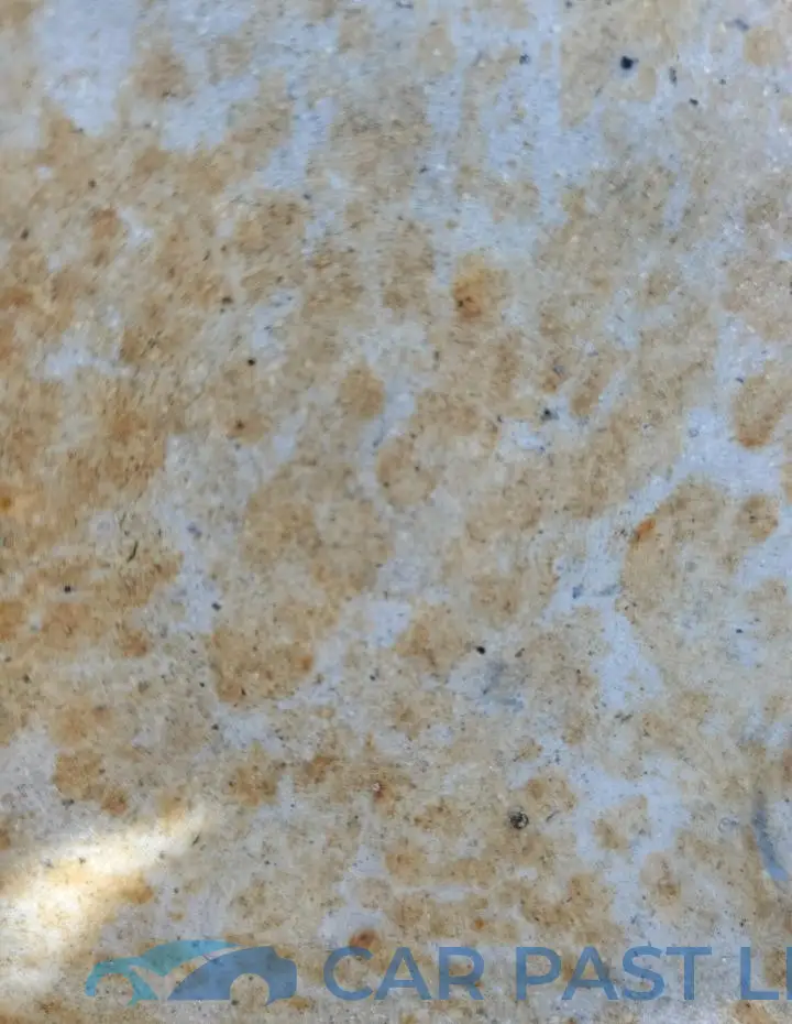 5YJSA1E50PF531288# 12