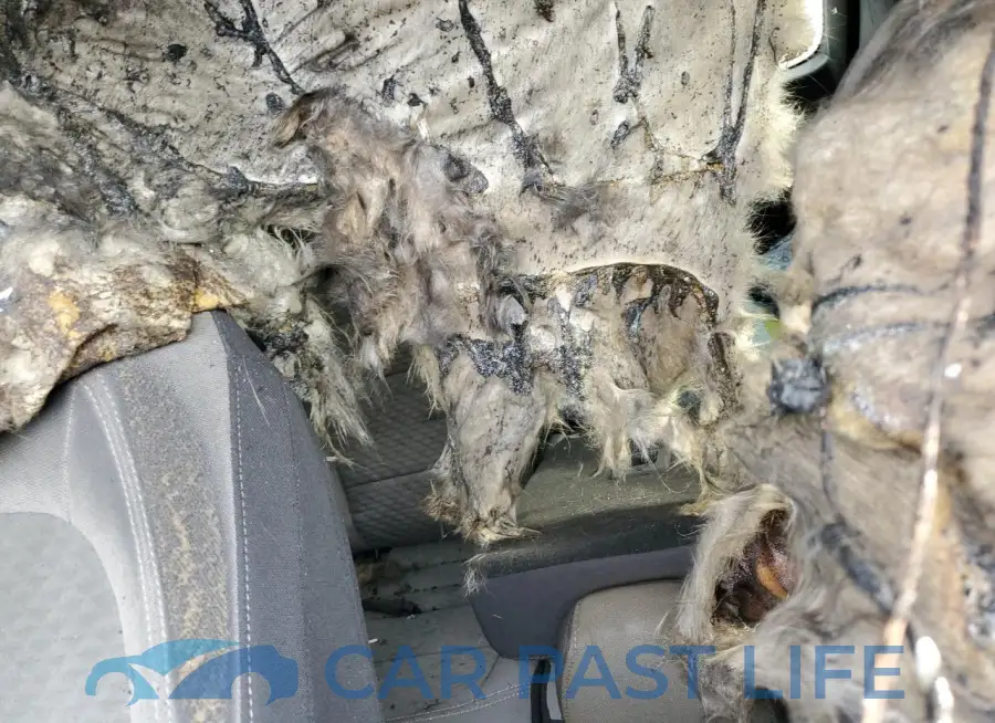 1FMCU9G63NUB69165# 10