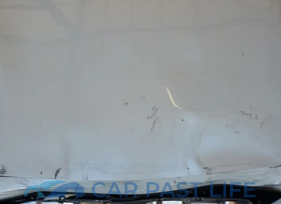 JN1EV7CP7RM600127# 11