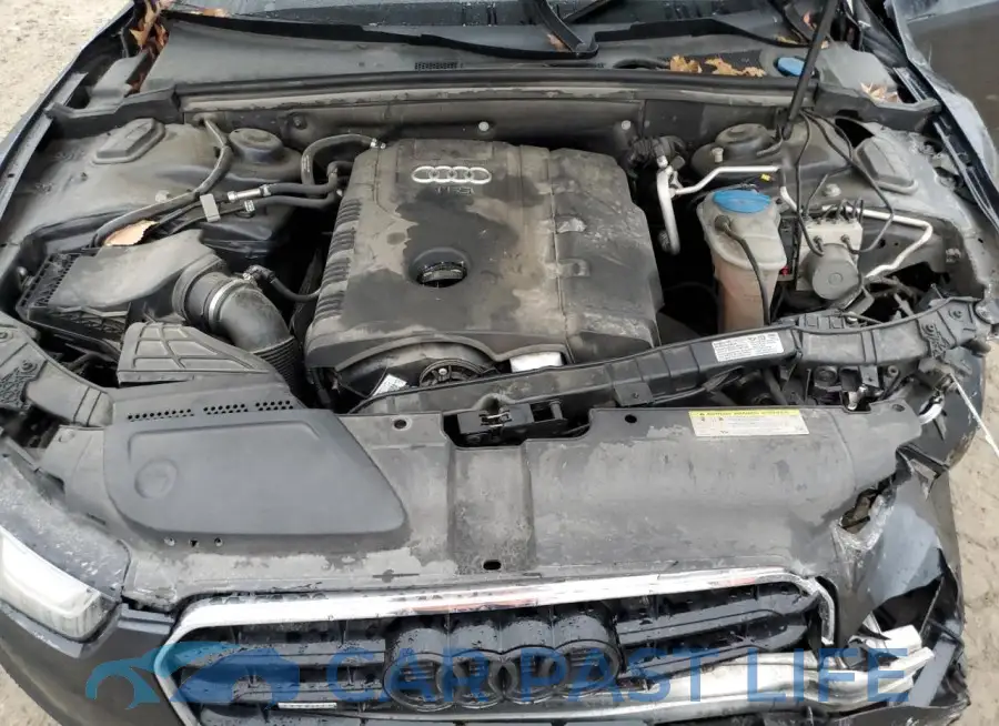 WAUMFAFR8FA039009# 11