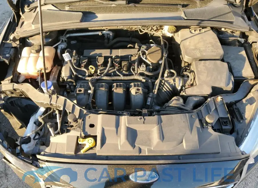 1FADP3F20FL202941# 11