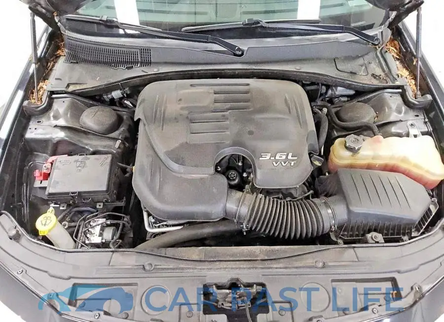 2C3CCARG0NH205531# 11