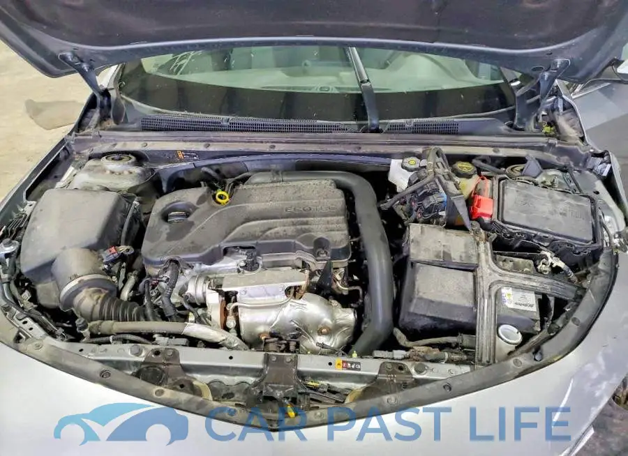 1G1ZD5ST4SF156017# 11