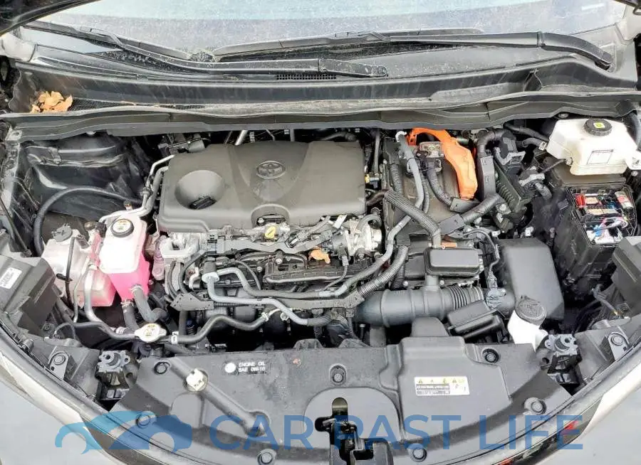 5TDGSKFC6RS138982# 12