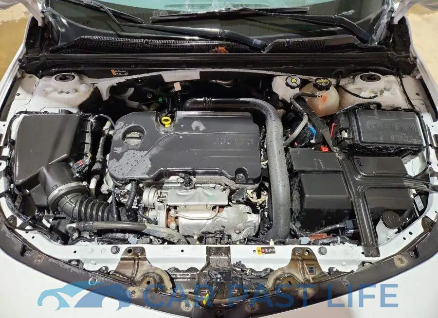 1G1ZD5ST7SF126364# 11