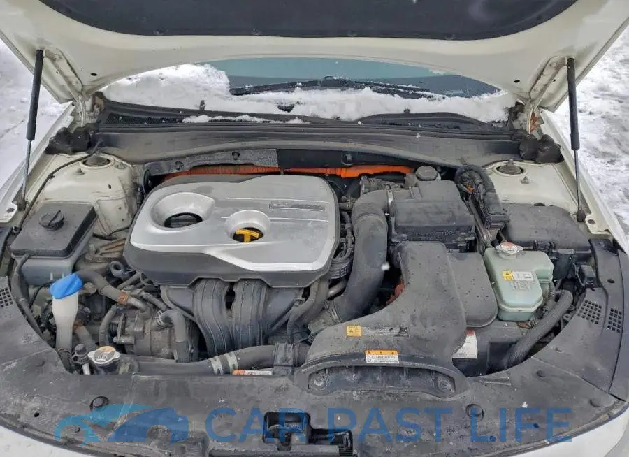 KNAGU4LE5J5028797# 11