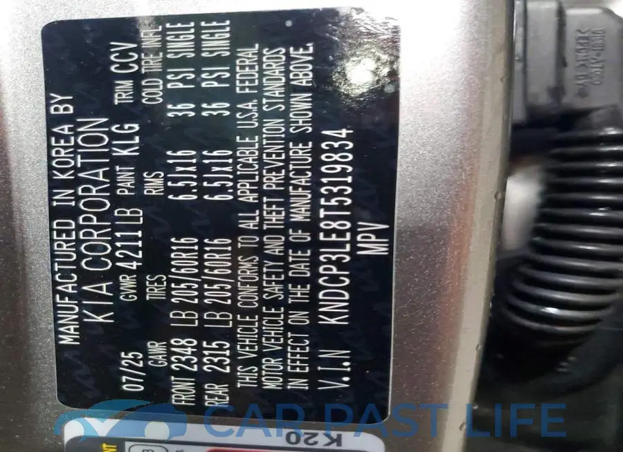 KNDCP3LE8T5319834# 13