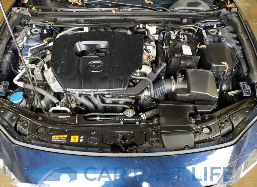 3MZBPABM3RM436102# 11