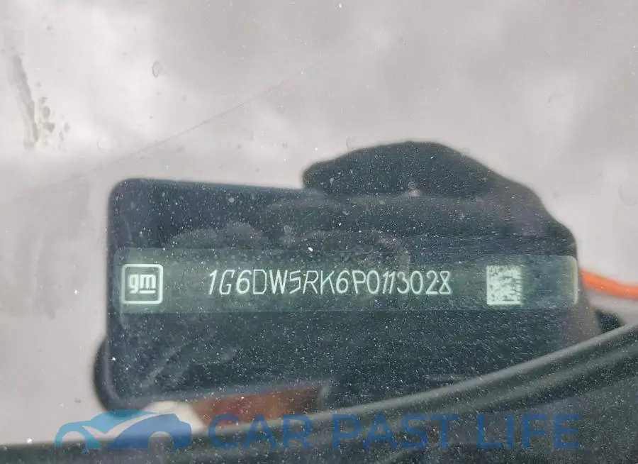 1G6DW5RK6P0113028# 12