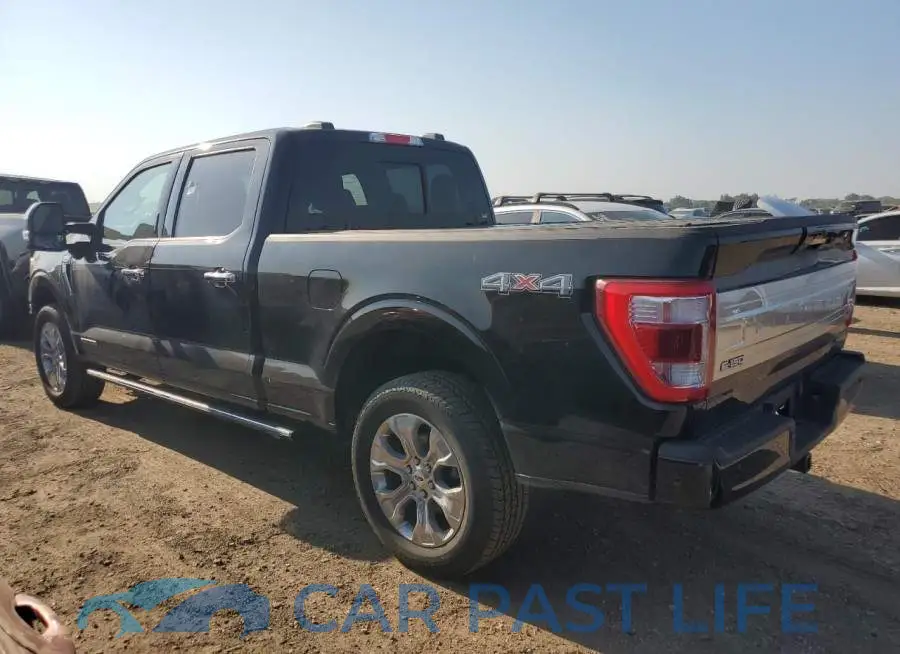 1FTFW1ED4PFB41252# 2
