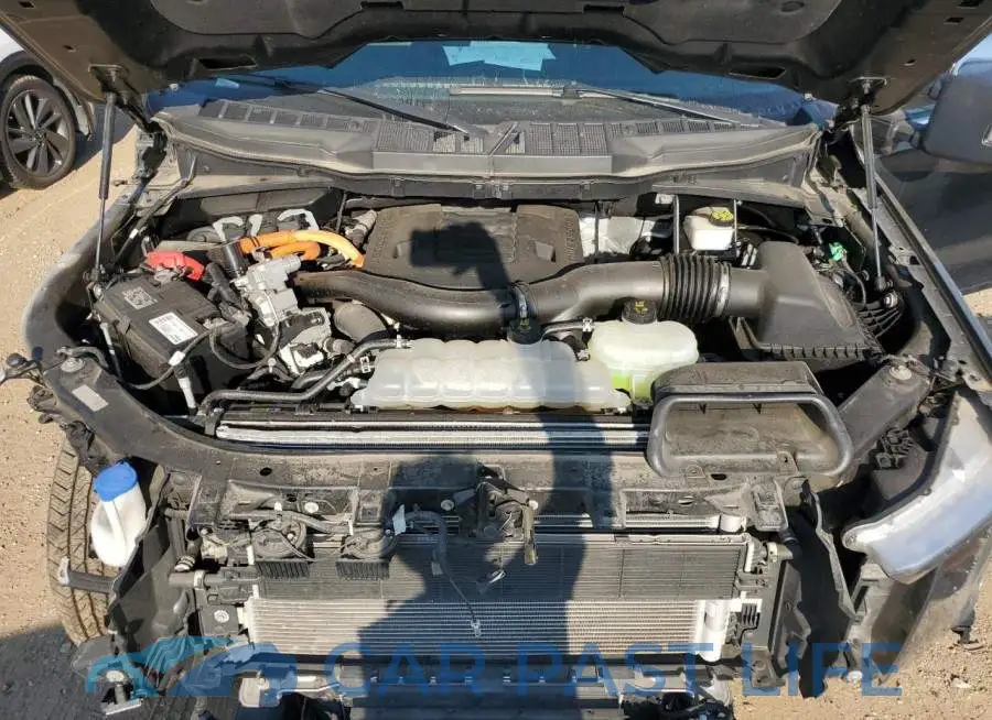 1FTFW1ED4PFB41252# 11