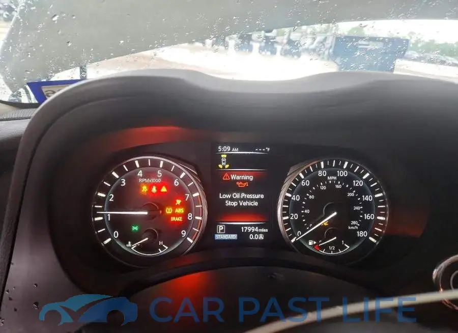 JN1EV7BP3RM601731# 9