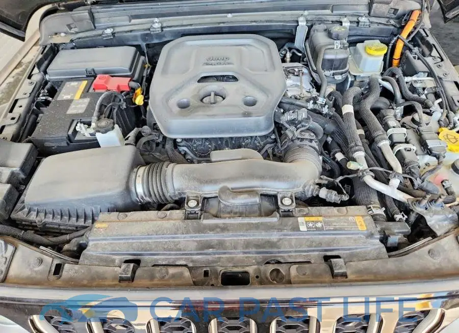 1C4JJXP64PW556775# 11