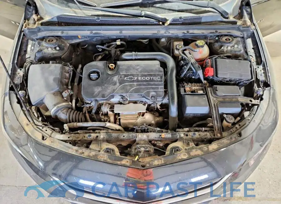 1G1ZD5ST0JF125619# 11