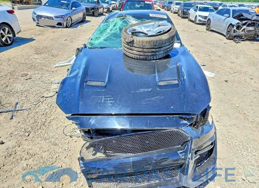 1FA6P8CF9J5126596# 11