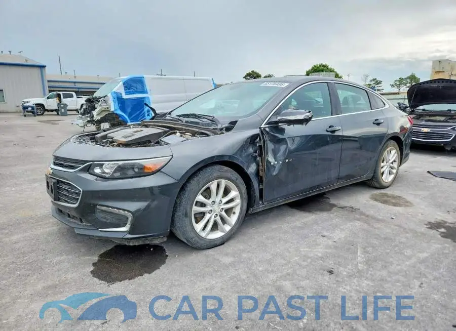 1G1ZF5SU0JF114509# 1