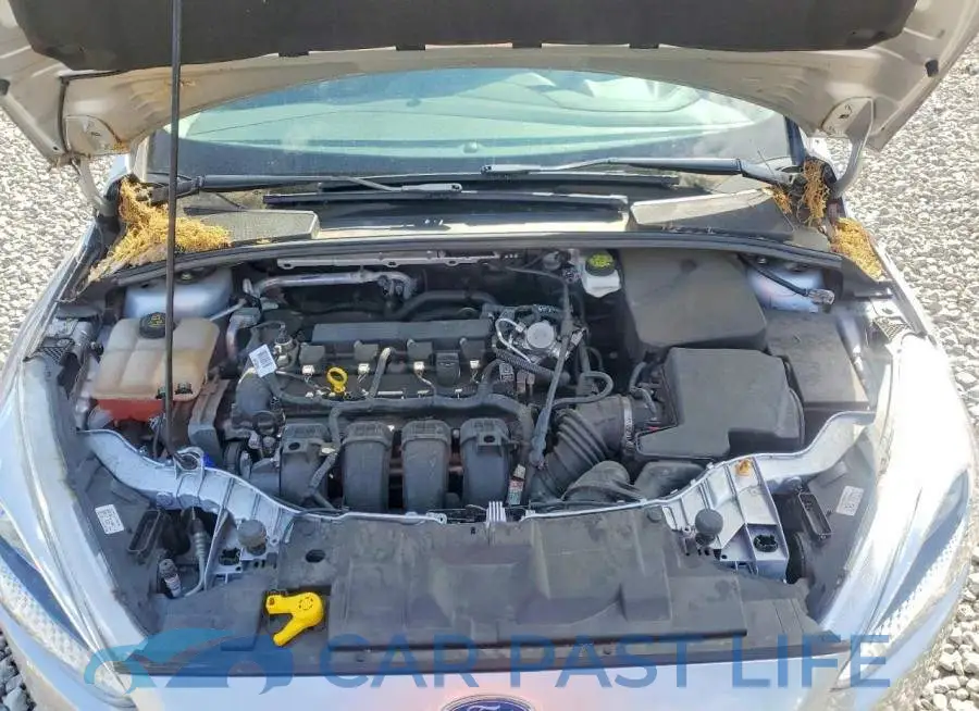 1FADP3E29JL265501# 11