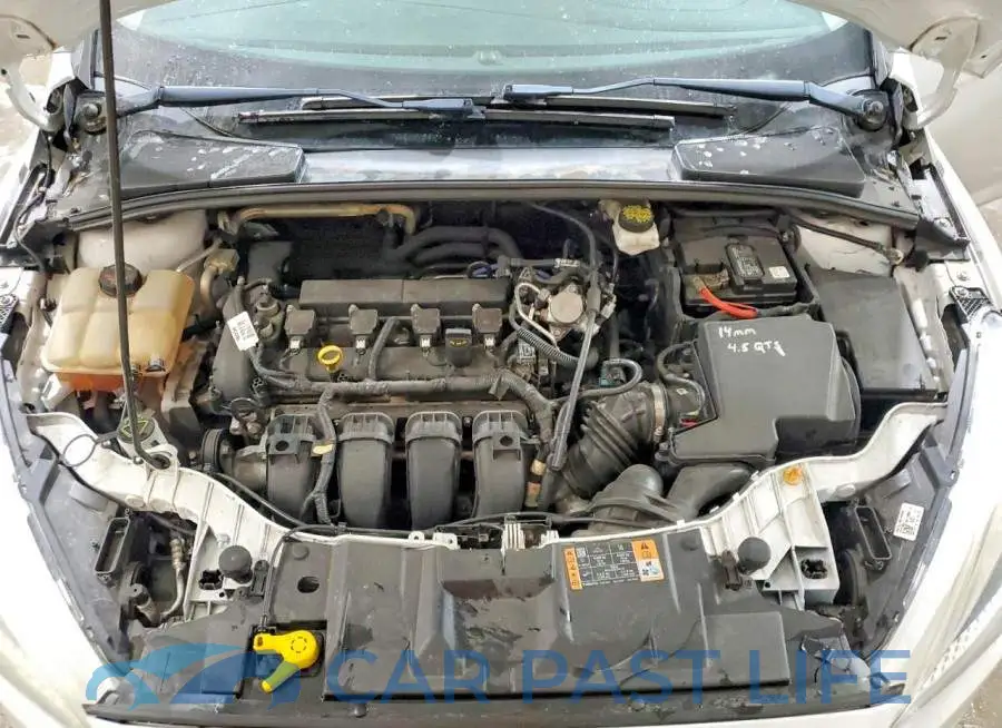 1FADP3F2XJL326305# 11