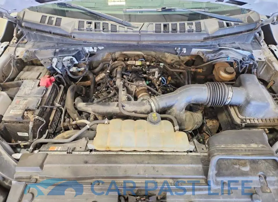 1FTEW1EP7LFA70046# 11