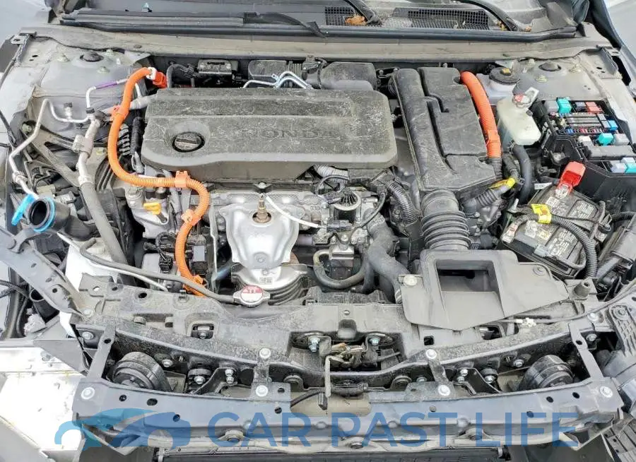 1HGCY2F53RA094646# 11