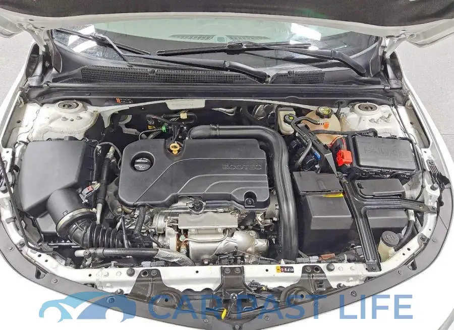 1G1ZD5ST4KF183797# 11